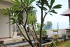 Hotel Blue Salt Villa