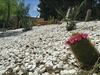 Camping & Bungalows Suspiro Del Moro