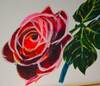 Bed & Breakfast Piccolo Principe Verona