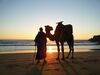 Hotel Surf House Morocco