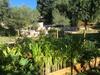 Bed & Breakfast Lavandaline