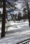Cabins By Big Bear Lake