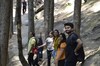 Hotel Alt Life Manali