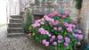 Bed & Breakfast Le Petit Volcan