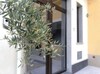 B&B Terra Di Sicilia Luxury Rooms