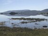 Carraigin Ban