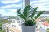 Apartamentos Bright Studio With Amazing City Views