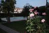 Apartamentos Flor De Orqu�dea