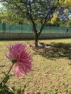 Bed & Breakfast Oca Carolina