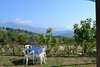 Agroturismo Santa Pigna Country House