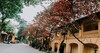 Hanoi Antique Hotel