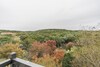 Apartamentos The Luxury La Cantera Suites