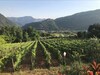 Bed & Breakfast La Corona Bagni Di Lucca