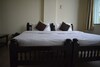 Hotel Green View