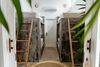 Hostal Dreamsea Canggu - Hostel