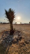 Dead Sea Camping