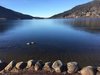 Apartamento Appartement Chalet Les Marmots