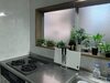 Hostal Matsue Guest House - Hostel