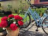 Bed & Breakfast Corte Del Mincio