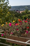 Aparthotel Feng Shui Wellness Apartmanh�z