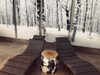 Hotel Au Charmant Petit Lac