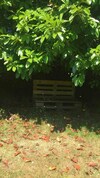 Apartamento Studio In Plou�dern, With Enclosed Garden And Wifi