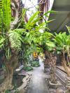 Hotel Dijumah Homestay