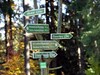 Cosy Apartment In Heubach Germany In The Forest