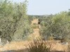 Villa A Comfortable Holiday Home With Private Swimming Pool, Tranquility And Privacy