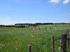 Nice Villa, Renovated 2015, Large Garden, Quiet Location, 10km From Houffalize