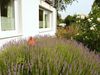 Modern Apartment In L�wensen With Private Terrace