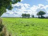 Complete Holiday Home With Shared Facilities, Amidst Lovely Frisian Surroundings