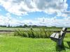 Complete Holiday Home With Shared Facilities, Amidst Lovely Frisian Surroundings