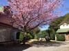 Aparthotel Jogasaki Orange Mura