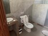 Hotel Oyo Black Bamboo Resort