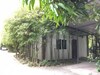 Hotel Oyo Black Bamboo Resort