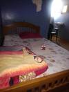 Dasar Comfort Hotel