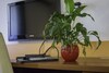 Hotel Guesthouse Vodnik