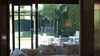 Villa La Viareggina