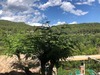 Hotel Gil