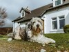 Balsporran Bed And Breakfast