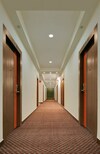 Hotel The Pamposh New Delhi