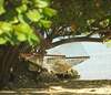 Apartamento Jamaica Inn