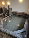Hotel Shinanoki Ichinoyu