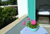 Hotel Aegean Village