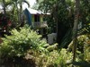 Hotel Tamarindo Village