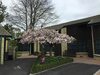 Motel Cambridge Mews
