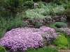Abbington Green Bed & Breakfast Inn