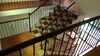 Hotel Daffodils Guest House