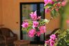 Hotel Relais Capo Spulico - Beach & Spa